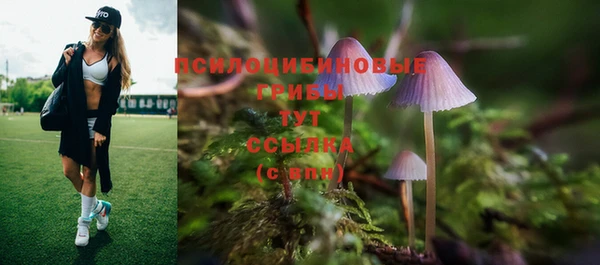 спайс Зеленодольск