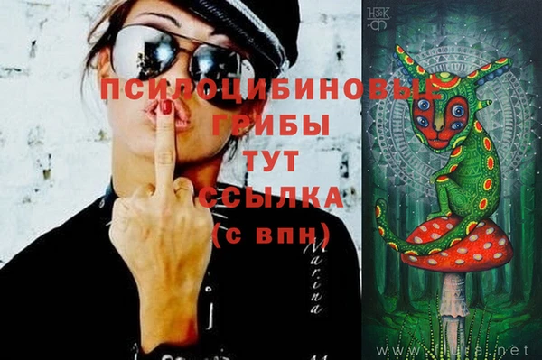 дурь Зеленокумск
