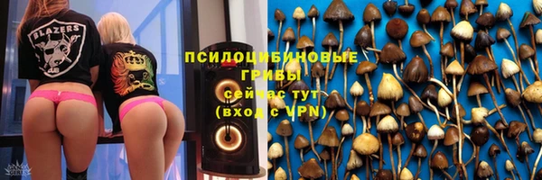дурь Зеленокумск