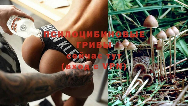 спайс Зеленодольск