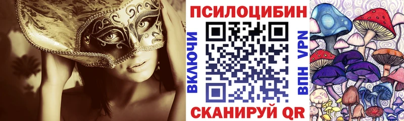 купить закладку  kraken как войти  Псилоцибиновые грибы Cubensis  Димитровград 